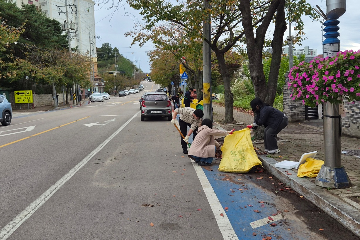 영광읍, 태풍‘참피’대비 관내 환경 정비 실시
